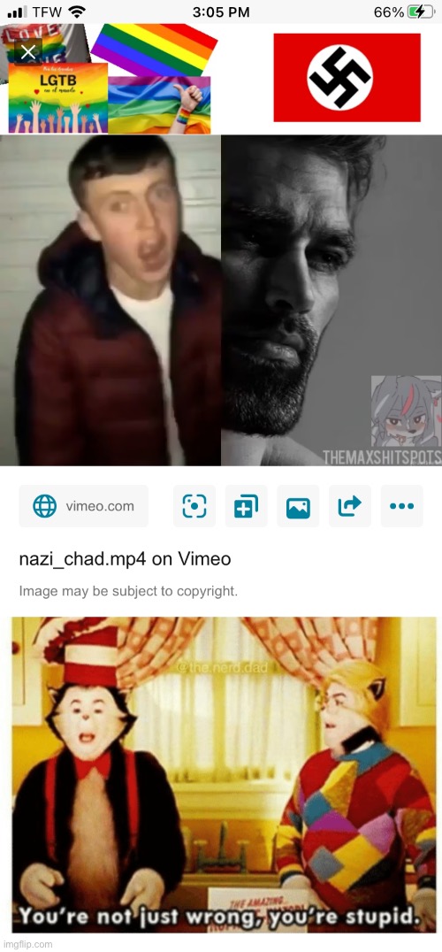 I knew that homophobia leads to Neo-Nazism | image tagged in you're not just wrong your stupid,lgbt,neo-nazis,movie | made w/ Imgflip meme maker