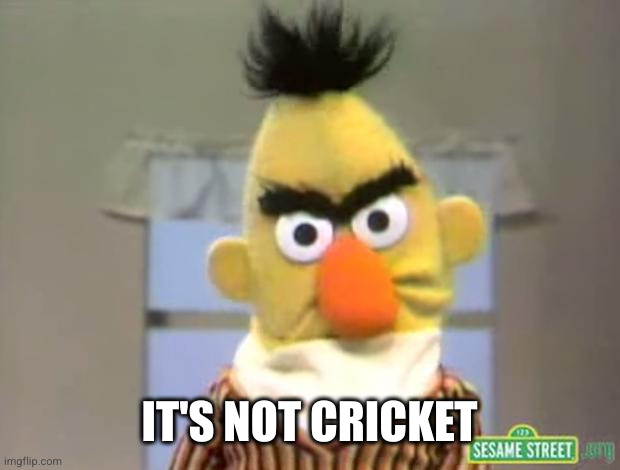 Sesame Street - Angry Bert | IT'S NOT CRICKET | image tagged in sesame street - angry bert | made w/ Imgflip meme maker