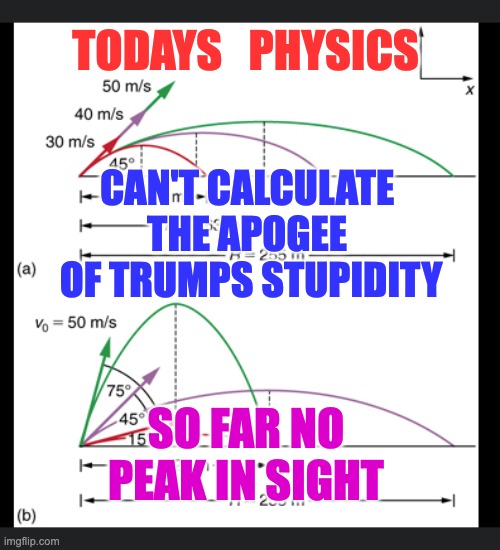 Trumps stupidity | TODAYS   PHYSICS; CAN'T CALCULATE 
THE APOGEE 
OF TRUMPS STUPIDITY; SO FAR NO PEAK IN SIGHT | image tagged in apogee - highest point | made w/ Imgflip meme maker