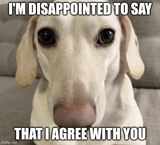 I know what you are | I'M DISAPPOINTED TO SAY THAT I AGREE WITH YOU | image tagged in i know what you are | made w/ Imgflip meme maker