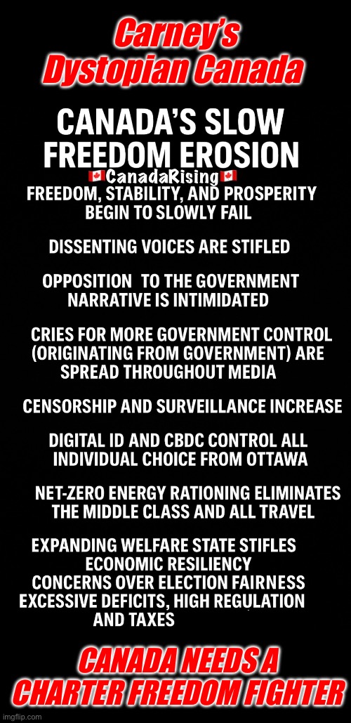 CanadaRising | Carney’s Dystopian Canada; CANADA NEEDS A CHARTER FREEDOM FIGHTER | image tagged in canadian politics | made w/ Imgflip meme maker