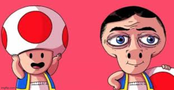 Toad | image tagged in toad,hat | made w/ Imgflip meme maker