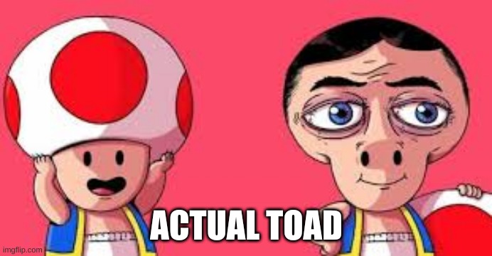 Scary toad | ACTUAL TOAD | image tagged in toad hat | made w/ Imgflip meme maker