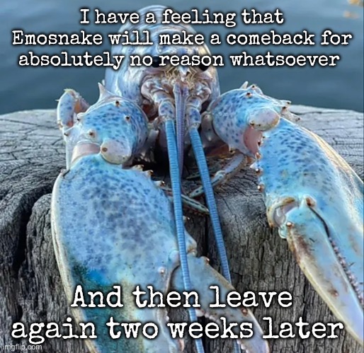 The Blue Lobster | I have a feeling that Emosnake will make a comeback for absolutely no reason whatsoever; And then leave again two weeks later | image tagged in the blue lobster,msmg | made w/ Imgflip meme maker