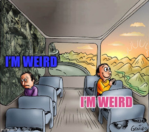 I figured it out. | I’M WEIRD; I’M WEIRD | image tagged in two guys on a bus,self love | made w/ Imgflip meme maker