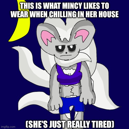 She's eepy | THIS IS WHAT MINCY LIKES TO WEAR WHEN CHILLING IN HER HOUSE; (SHE'S JUST REALLY TIRED) | made w/ Imgflip meme maker