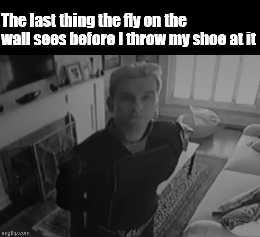 L bozo | The last thing the fly on the wall sees before I throw my shoe at it | image tagged in homelander staring,cry about it | made w/ Imgflip meme maker