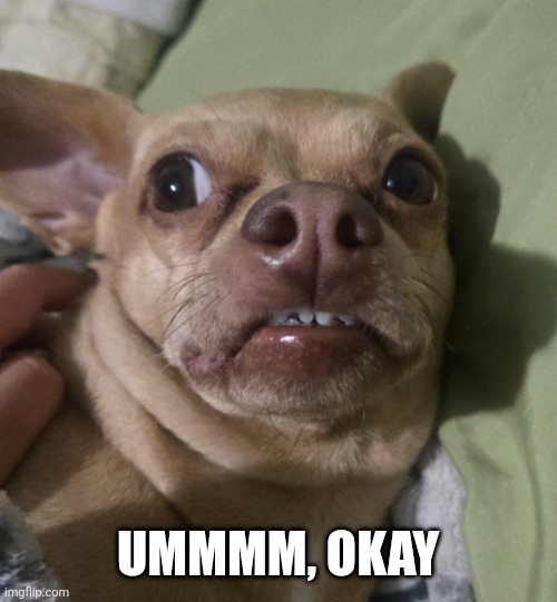 Fiesty | UMMMM, OKAY | image tagged in fiesty | made w/ Imgflip meme maker
