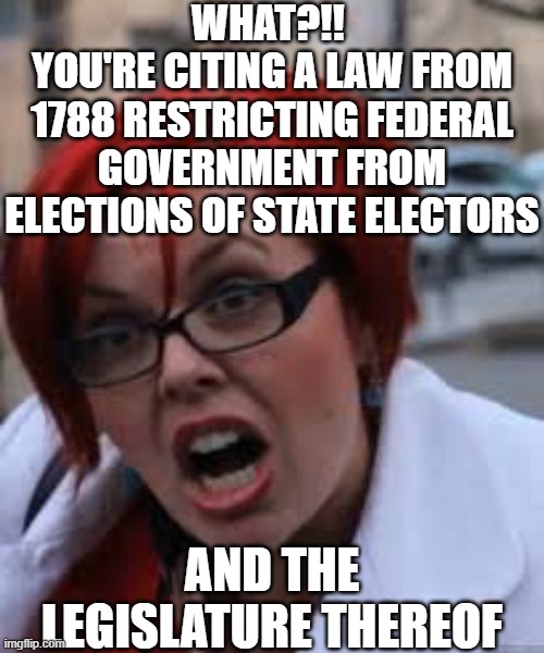 SJW Triggered | WHAT?!! 
YOU'RE CITING A LAW FROM 1788 RESTRICTING FEDERAL GOVERNMENT FROM ELECTIONS OF STATE ELECTORS AND THE LEGISLATURE THEREOF | image tagged in sjw triggered | made w/ Imgflip meme maker