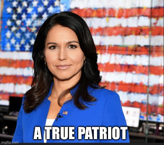Tulsi Gabbard | A TRUE PATRIOT | image tagged in tulsi gabbard | made w/ Imgflip meme maker