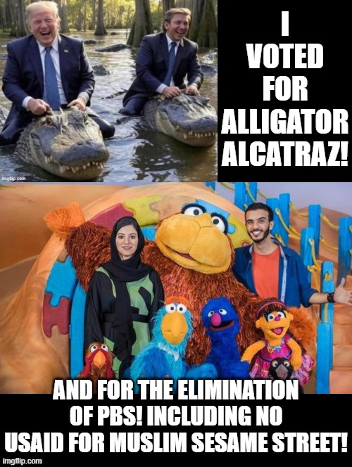 I voted for this! | I VOTED FOR ALLIGATOR ALCATRAZ! AND FOR THE ELIMINATION OF PBS! INCLUDING NO USAID FOR MUSLIM SESAME STREET! | image tagged in too cool | made w/ Imgflip meme maker
