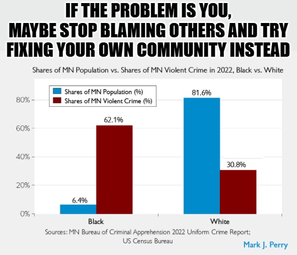 This isn't racism, it's facts. | IF THE PROBLEM IS YOU, MAYBE STOP BLAMING OTHERS AND TRY FIXING YOUR OWN COMMUNITY INSTEAD | image tagged in minnesota,crime statistics,crime,black,white | made w/ Imgflip meme maker