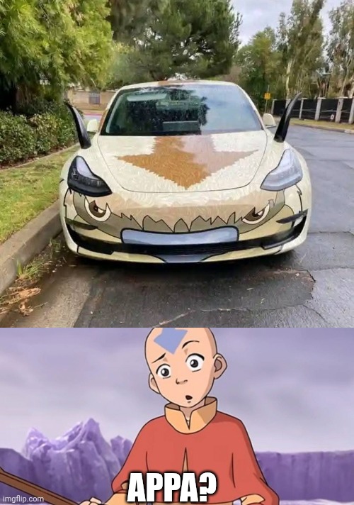 CAN'T FLY IN THAT | APPA? | image tagged in avatar the last airbender,aang,cars | made w/ Imgflip meme maker