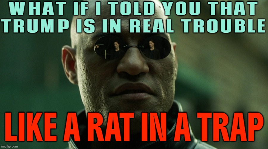 Trump Is In Real Trouble; Like A Rat In A Trap | WHAT IF I TOLD YOU THAT
TRUMP IS IN REAL TROUBLE; LIKE A RAT IN A TRAP | image tagged in what if i told you,donald trump small brain,rats,maga,make america great again,jeffrey epstein | made w/ Imgflip meme maker