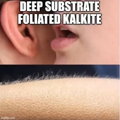 Repost from memenade (I think) | image tagged in deep substrate foliated kalkite,kalkite,whisper in ear goosebumps | made w/ Imgflip meme maker
