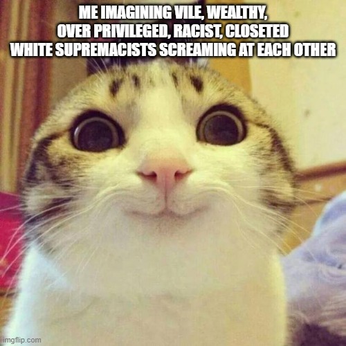 Smiling Cat Meme | ME IMAGINING VILE, WEALTHY, OVER PRIVILEGED, RACIST, CLOSETED WHITE SUPREMACISTS SCREAMING AT EACH OTHER | image tagged in memes,smiling cat | made w/ Imgflip meme maker
