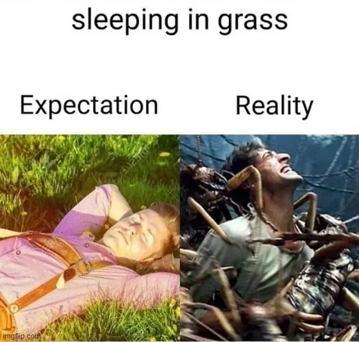 And people always ask why I don't like being outdoors | image tagged in memes,funny,sleeping,grass,outdoors,relatable memes | made w/ Imgflip meme maker