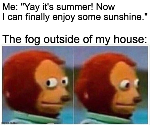 there's no such thing as sunshine here | Me: "Yay it's summer! Now I can finally enjoy some sunshine."; The fog outside of my house: | image tagged in memes,monkey puppet | made w/ Imgflip meme maker