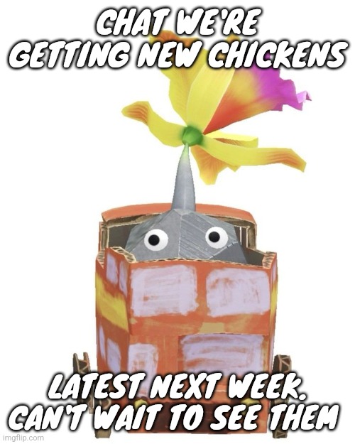 Train rock pikmin | CHAT WE'RE GETTING NEW CHICKENS; LATEST NEXT WEEK. CAN'T WAIT TO SEE THEM | image tagged in train rock pikmin | made w/ Imgflip meme maker