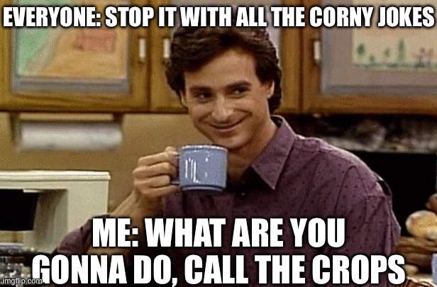 Corny Jokes | EVERYONE: STOP IT WITH ALL THE CORNY JOKES; ME: WHAT ARE YOU GONNA DO, CALL THE CROPS | image tagged in dad joke,corn,corny joke,crops,cops | made w/ Imgflip meme maker