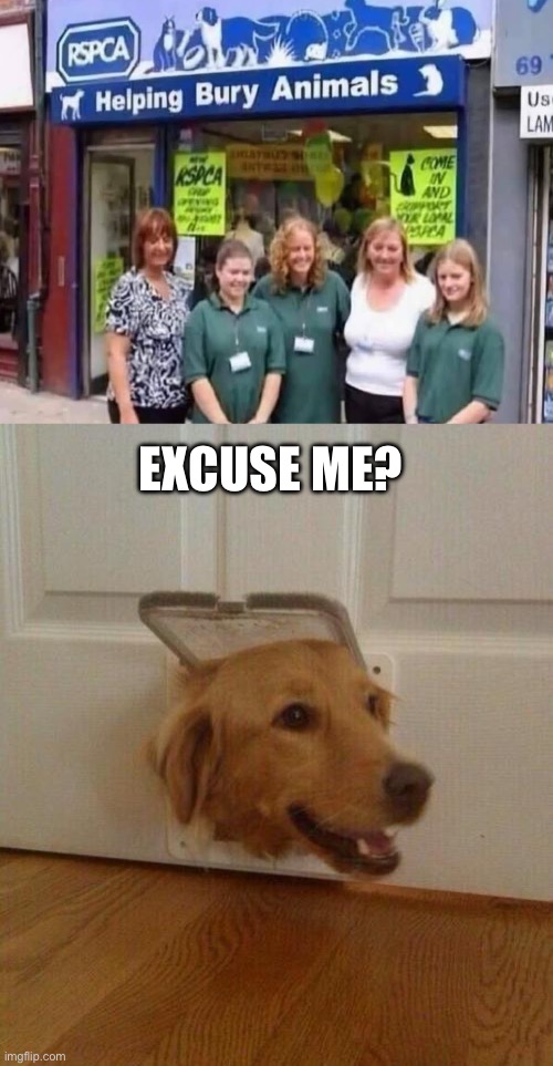 Bury, Lancashire | EXCUSE ME? | image tagged in dog door,english,bury,sick humor | made w/ Imgflip meme maker