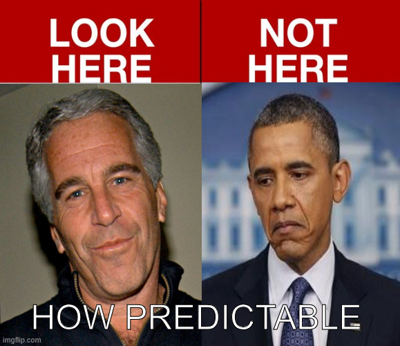 Ignore the 0bama regime treason | HOW PREDICTABLE | image tagged in ignore,0bama treason,whine some more about a nonexistant list | made w/ Imgflip meme maker