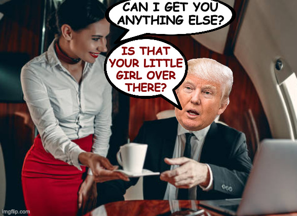 CAN I GET YOU
ANYTHING ELSE? IS THAT
YOUR LITTLE
GIRL OVER
THERE? | made w/ Imgflip meme maker