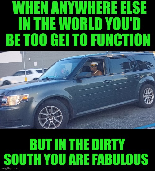 Funny | WHEN ANYWHERE ELSE IN THE WORLD YOU'D BE TOO GEI TO FUNCTION; BUT IN THE DIRTY SOUTH YOU ARE FABULOUS | image tagged in funny,snap,flame,south,usa,fabulous | made w/ Imgflip meme maker