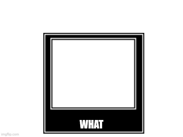WHAT | made w/ Imgflip meme maker