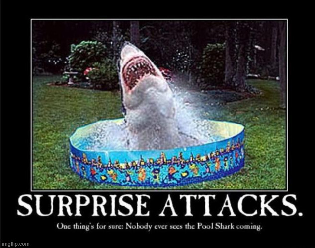 Pool shark | image tagged in repost,pool shark | made w/ Imgflip meme maker