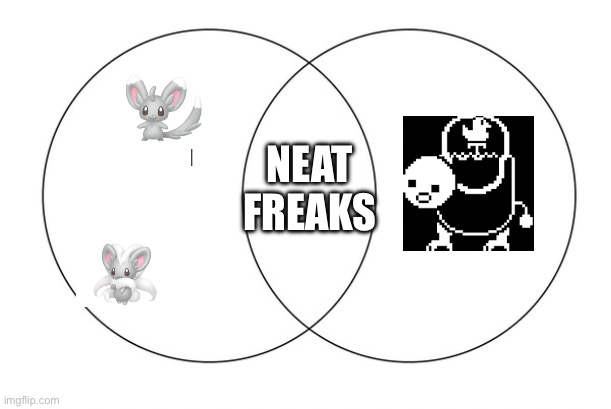 Realization (Rude -Mincy) | NEAT FREAKS | image tagged in venn diagram | made w/ Imgflip meme maker
