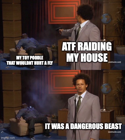 ATF raids, Man :(( | ATF RAIDING MY HOUSE; MY TOY POODLE THAT WOULDNT HURT A FLY; IT WAS A DANGEROUS BEAST | image tagged in memes,who killed hannibal | made w/ Imgflip meme maker
