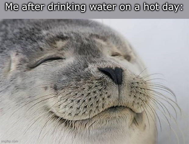 WHY IS IT SO GOOD THO? | Me after drinking water on a hot day: | image tagged in memes,satisfied seal,funny,water,relatable | made w/ Imgflip meme maker