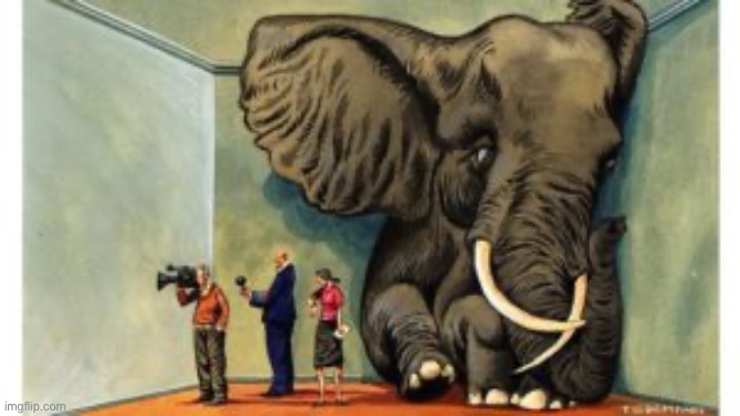 Elephant in the room | image tagged in elephant in the room | made w/ Imgflip meme maker