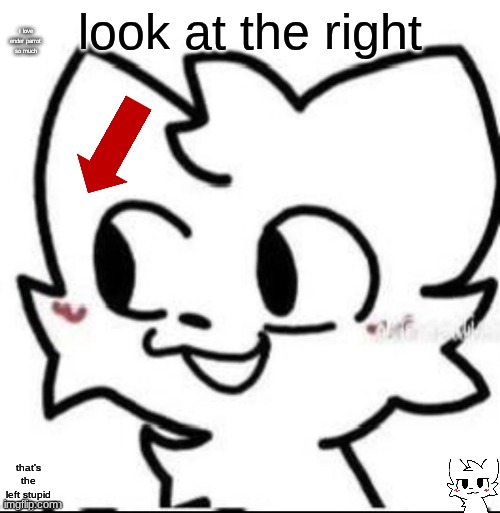 boykisser | look at the right; I love ender parrot so much; that's the left stupid | image tagged in boykisser | made w/ Imgflip meme maker