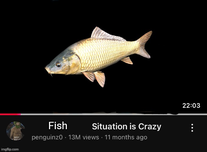test | Fish | image tagged in penguinz0 situation | made w/ Imgflip meme maker