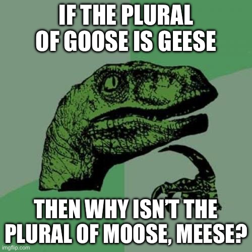 Moose or meese | IF THE PLURAL OF GOOSE IS GEESE; THEN WHY ISN’T THE PLURAL OF MOOSE, MEESE? | image tagged in memes,philosoraptor | made w/ Imgflip meme maker
