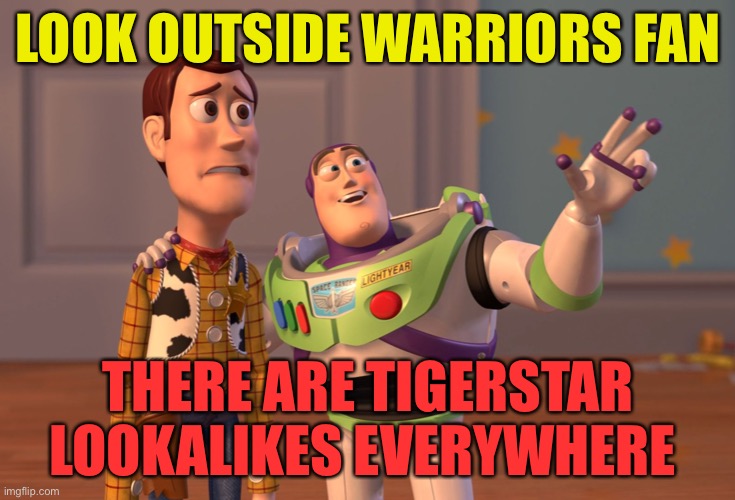 X, X Everywhere | LOOK OUTSIDE WARRIORS FAN; THERE ARE TIGERSTAR LOOKALIKES EVERYWHERE | image tagged in memes,x x everywhere | made w/ Imgflip meme maker