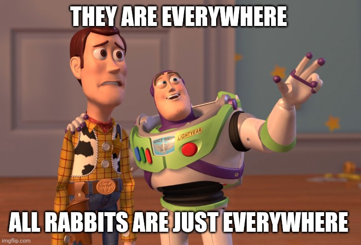 X, X Everywhere Meme | THEY ARE EVERYWHERE ALL RABBITS ARE JUST EVERYWHERE | image tagged in memes,x x everywhere | made w/ Imgflip meme maker