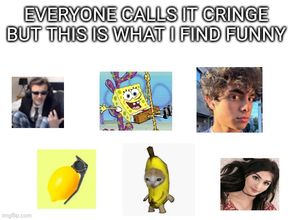 My Type of Humor | EVERYONE CALLS IT CRINGE BUT THIS IS WHAT I FIND FUNNY | image tagged in blank white template | made w/ Imgflip meme maker