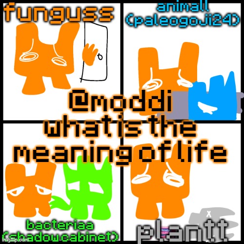 the 4-way temp | @moddi what is the meaning of life | image tagged in the 4-way temp | made w/ Imgflip meme maker