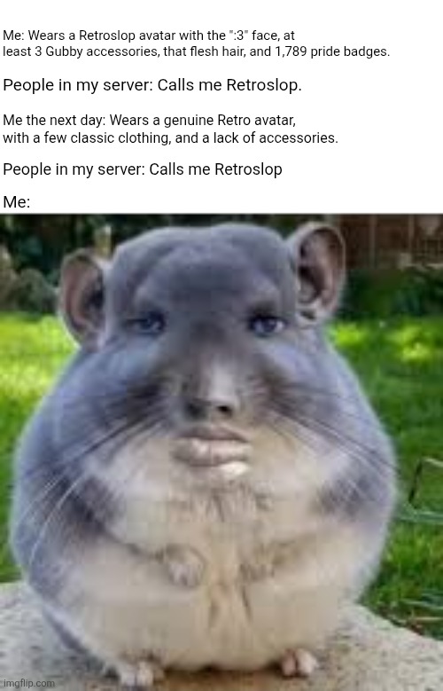 There is a difference between Retro Avatars and Retroslop Avatars lol | Me: Wears a Retroslop avatar with the ":3" face, at least 3 Gubby accessories, that flesh hair, and 1,789 pride badges. People in my server: Calls me Retroslop. Me the next day: Wears a genuine Retro avatar, with a few classic clothing, and a lack of accessories. People in my server: Calls me Retroslop; Me: | image tagged in disappointed chinchilla,memes,funny,funny memes,roblox,retro | made w/ Imgflip meme maker