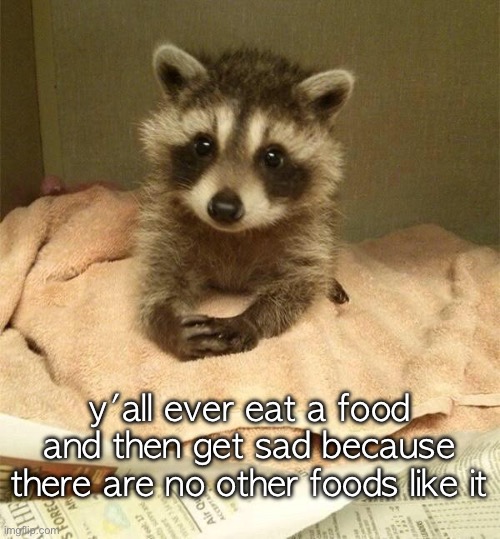 . | y'all ever eat a food and then get sad because there are no other foods like it | image tagged in polite raccoon | made w/ Imgflip meme maker