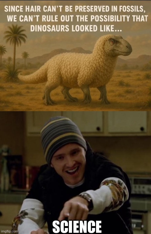 Can wool be fossilised though | SCIENCE | image tagged in it's science bitch,wool,sheep,dinosaurs,fossil | made w/ Imgflip meme maker