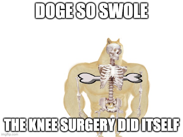 buff doge skeleton | DOGE SO SWOLE; THE KNEE SURGERY DID ITSELF | image tagged in buff doge skeleton | made w/ Imgflip meme maker