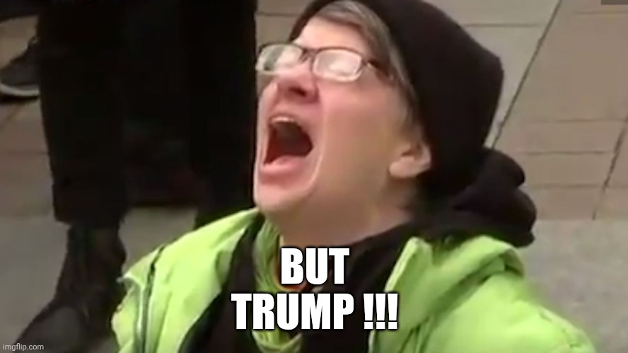 Screaming Liberal  | BUT
TRUMP !!! | image tagged in screaming liberal | made w/ Imgflip meme maker