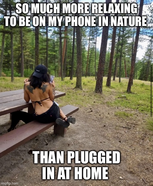 Disconnected | SO MUCH MORE RELAXING TO BE ON MY PHONE IN NATURE; THAN PLUGGED IN AT HOME | image tagged in disconnected | made w/ Imgflip meme maker