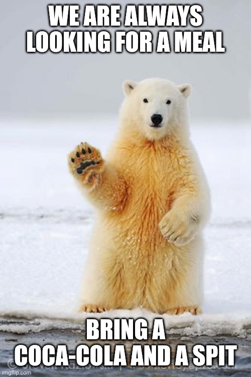 hello polar bear | WE ARE ALWAYS LOOKING FOR A MEAL BRING A COCA-COLA AND A SPIT | image tagged in hello polar bear | made w/ Imgflip meme maker