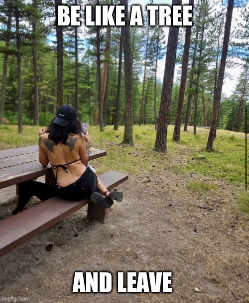 Disconnected | BE LIKE A TREE; AND LEAVE | image tagged in disconnected | made w/ Imgflip meme maker