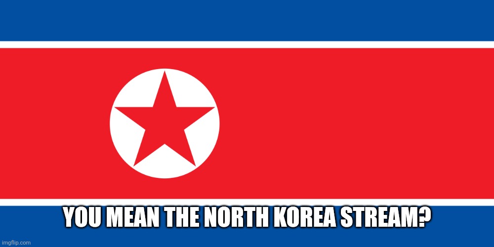 North Korea | YOU MEAN THE NORTH KOREA STREAM? | image tagged in north korea | made w/ Imgflip meme maker
